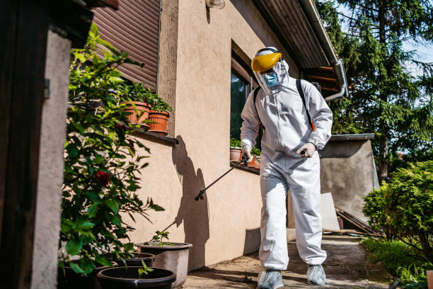 Flea Control Services in Solvang, CA