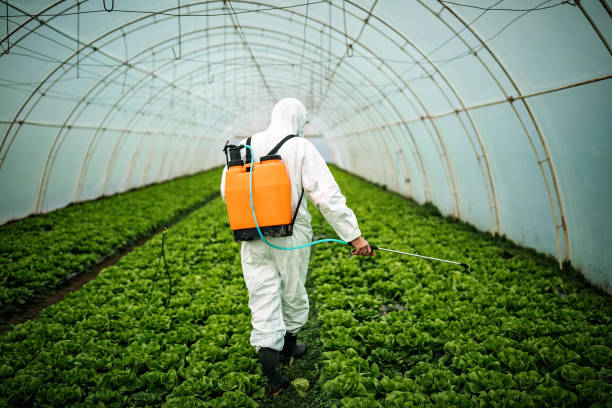 Best Affordable Pest Control Services  in Solvang, CA