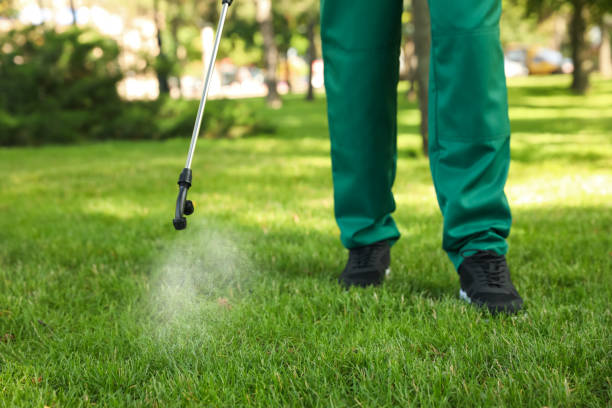 Best Termite Control Services  in Solvang, CA