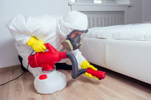 Best Best Pest Control Companies  in Solvang, CA