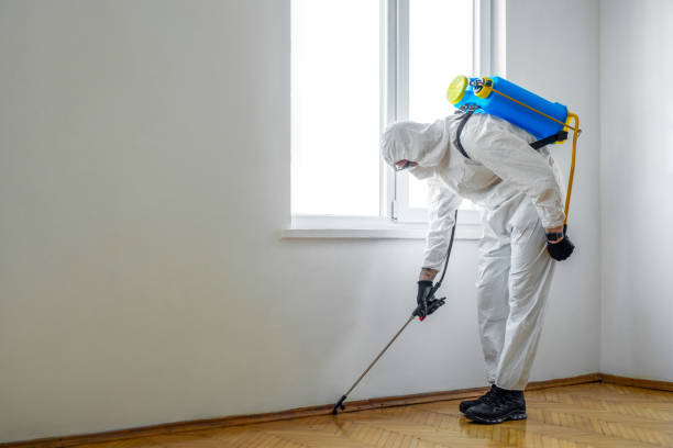 Wildlife Control Services in Solvang, CA
