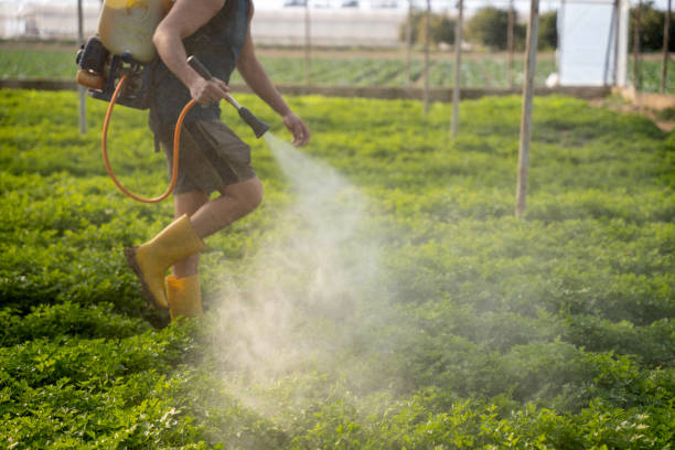 Best Residential Pest Control  in Solvang, CA